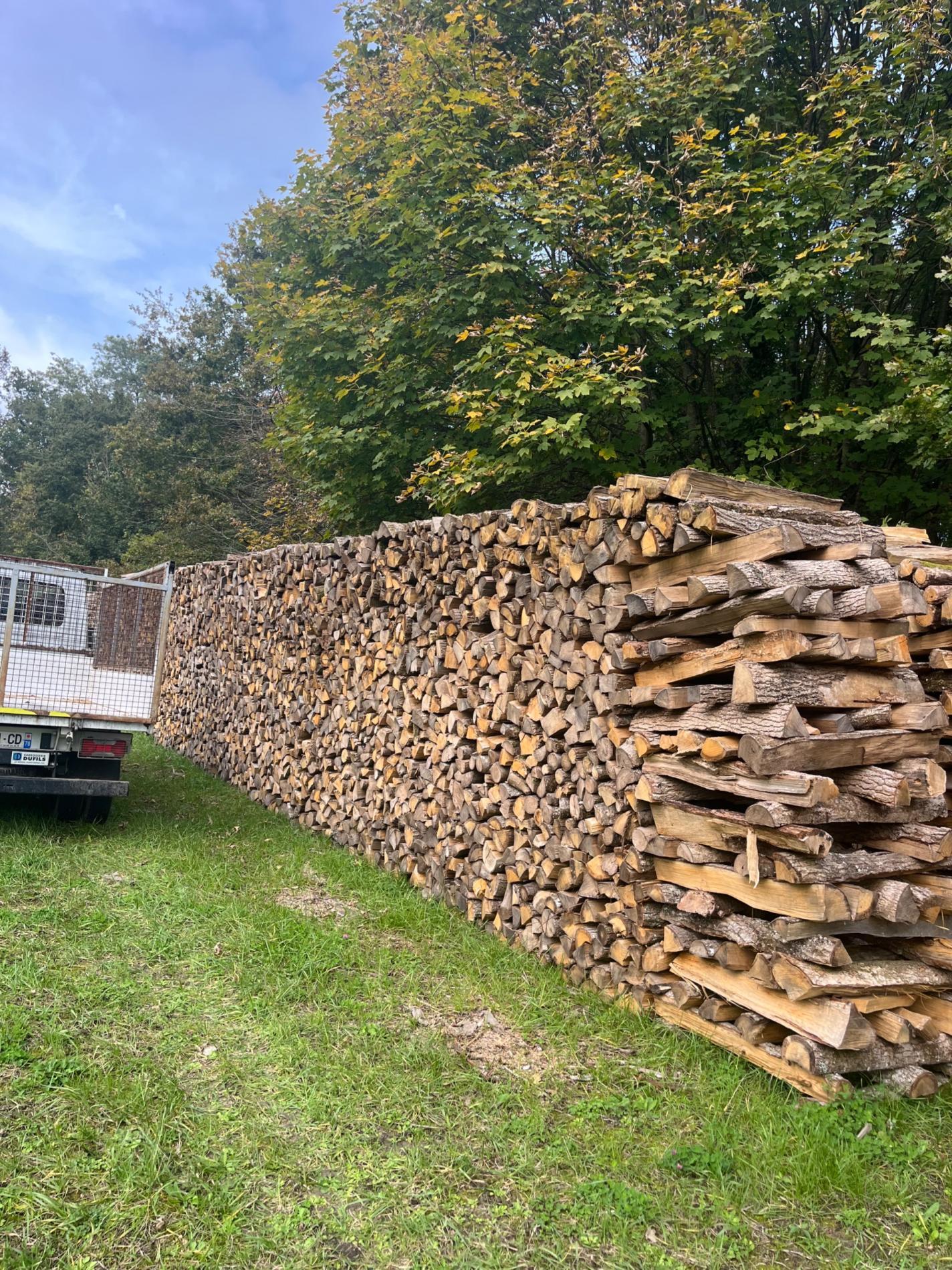 Quels critères pour un bois de chauffage de qualité ?